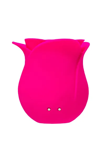 Вакуум-волновой стимулятор клитора Satisfyer Pro 2 Modern Blossom, силикон, бордовый, 6,6 см