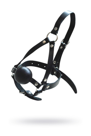 Кляп-шар со сбруей на голову