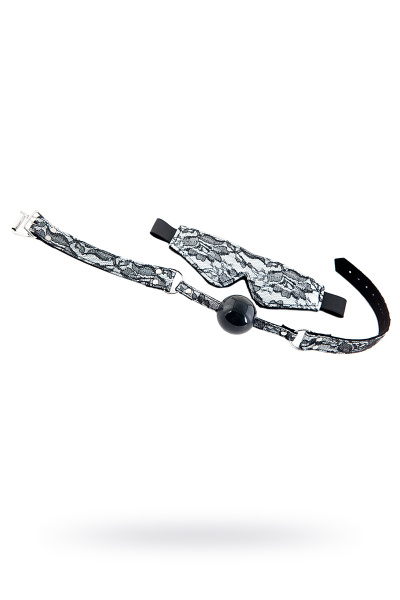 Набор кружевной TOYFA Marcus серебристый: маска и кляп