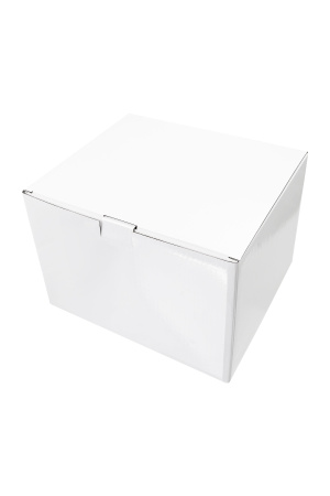 Мастурбатор реалистичный  в форме попки, с 2 любовными входами, ТPE, телесный, 1 кг (в белой коробке