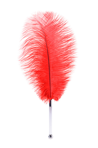 Щекоталка перо TOYFA Theatre, красная, 40 см